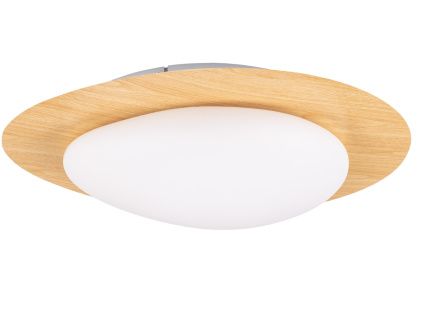 Kovové stropní LED světlo Nimbus 42,5 x 47 cm