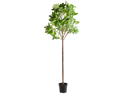 Umělá rostlina Fig 230 cm